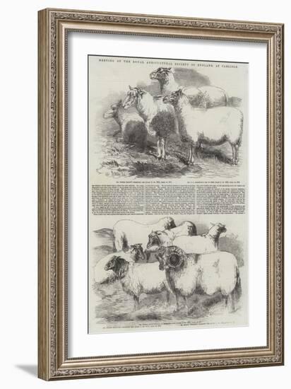 Meeting of the Royal Agricultural Society of England, at Carlisle-Harrison William Weir-Framed Giclee Print