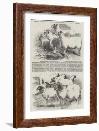 Meeting of the Royal Agricultural Society of England, at Carlisle-Harrison William Weir-Framed Giclee Print