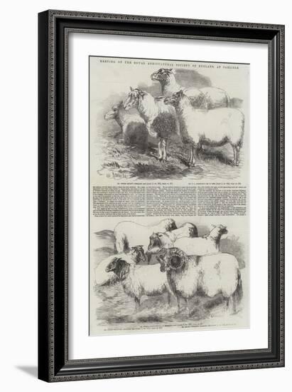 Meeting of the Royal Agricultural Society of England, at Carlisle-Harrison William Weir-Framed Giclee Print