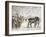 Meeting of the Shire Horse Society in Islington's Agricultural Hall, London, C1875-Frank Watkins-Framed Giclee Print