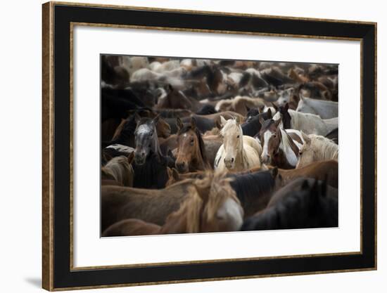 Meeting Place-PH Burchett-Framed Photographic Print