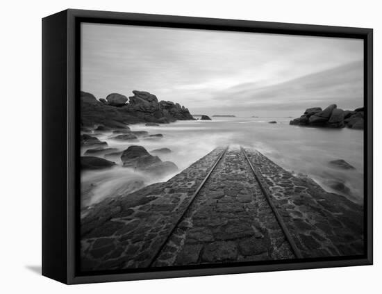 Meeting with Poseidon-Philippe Manguin-Framed Premier Image Canvas