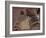 Meezu-Fabio Panichi-Framed Photographic Print