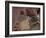 Meezu-Fabio Panichi-Framed Photographic Print