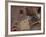 Meezu-Fabio Panichi-Framed Photographic Print