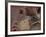 Meezu-Fabio Panichi-Framed Photographic Print