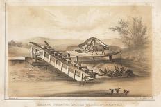 Chinese Irrigating Machine Worked by Men, 1855-Meffert-Giclee Print