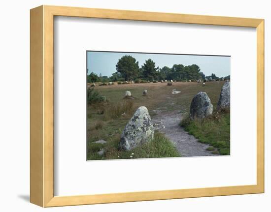 Megalithic alignments at Carnac, 34th century BC. Artist: Unknown-Unknown-Framed Photographic Print