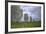 Megalithic Stones in the Menec Alignment at Carnac, Brittany, France, Europe-Rob Cousins-Framed Photographic Print