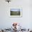 Megalithic Stones in the Menec Alignment at Carnac, Brittany, France, Europe-Rob Cousins-Framed Photographic Print displayed on a wall