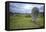 Megalithic Stones in the Menec Alignment at Carnac, Brittany, France, Europe-Rob Cousins-Framed Premier Image Canvas