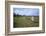 Megalithic Stones in the Menec Alignment at Carnac, Brittany, France, Europe-Rob Cousins-Framed Photographic Print