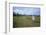 Megalithic Stones in the Menec Alignment at Carnac, Brittany, France, Europe-Rob Cousins-Framed Photographic Print