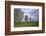 Megalithic Stones in the Menec Alignment at Carnac, Brittany, France, Europe-Rob Cousins-Framed Photographic Print