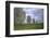 Megalithic Stones in the Menec Alignment at Carnac, Brittany, France, Europe-Rob Cousins-Framed Photographic Print