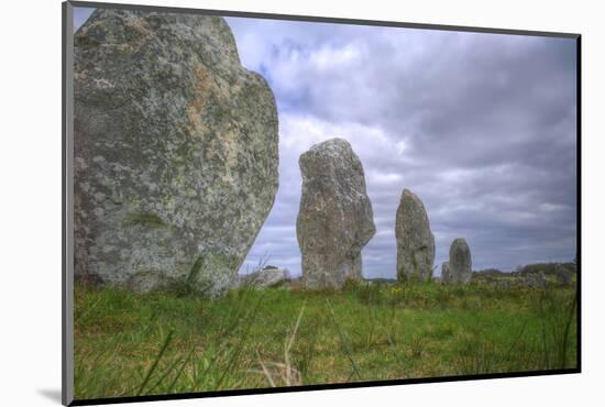 Megalithic Stones in the Menec Alignment at Carnac, Brittany, France, Europe-Rob Cousins-Mounted Photographic Print