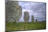 Megalithic Stones in the Menec Alignment at Carnac, Brittany, France, Europe-Rob Cousins-Mounted Photographic Print