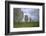 Megalithic Stones in the Menec Alignment at Carnac, Brittany, France, Europe-Rob Cousins-Framed Photographic Print