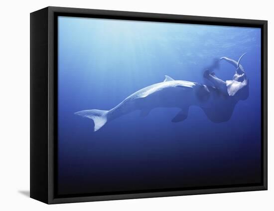 Megalodon Prehistoric Shark with Elephant-Christian Darkin-Framed Premier Image Canvas