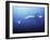 Megalodon Prehistoric Shark with Elephant-Christian Darkin-Framed Photographic Print