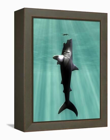 Megalodon Prehistoric Shark with Human-Christian Darkin-Framed Premier Image Canvas