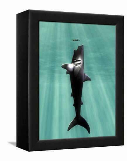 Megalodon Prehistoric Shark with Human-Christian Darkin-Framed Premier Image Canvas