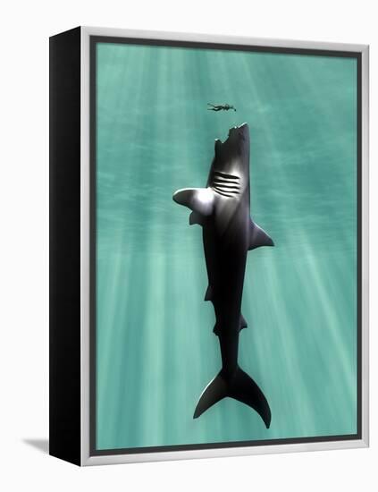 Megalodon Prehistoric Shark with Human-Christian Darkin-Framed Premier Image Canvas