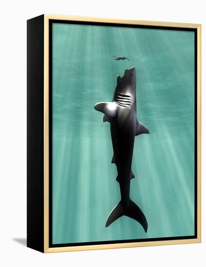 Megalodon Prehistoric Shark with Human-Christian Darkin-Framed Premier Image Canvas