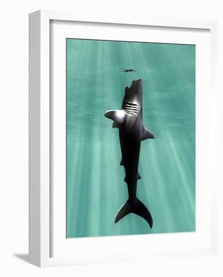 Megalodon Prehistoric Shark with Human-Christian Darkin-Framed Photographic Print