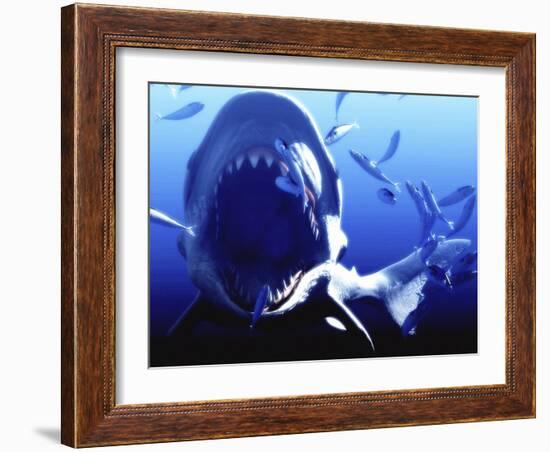 Megalodon Prehistoric Shark-Christian Darkin-Framed Photographic Print