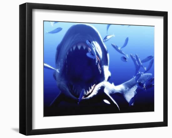 Megalodon Prehistoric Shark-Christian Darkin-Framed Photographic Print