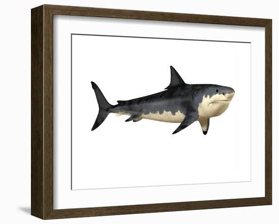 Megalodon Shark, an Enormous Predator from the Cenozoic Era-null-Framed Art Print