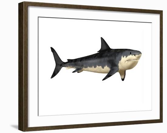 Megalodon Shark, an Enormous Predator from the Cenozoic Era-null-Framed Art Print