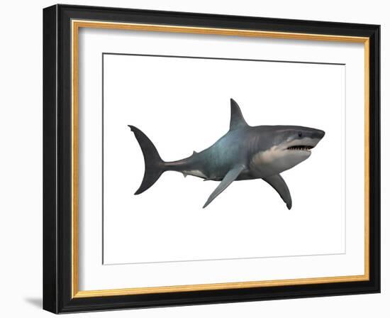 Megalodon Shark, an Enormous Predator from the Cenozoic Era-null-Framed Art Print