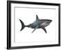 'Megalodon Shark, an Enormous Predator from the Cenozoic Era' Art Print ...