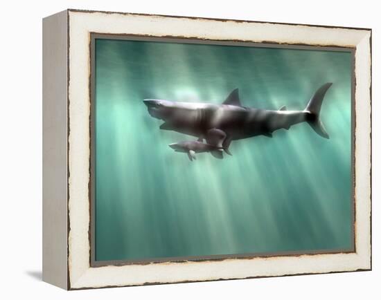 Megalodon Shark And Great White-Christian Darkin-Framed Premier Image Canvas