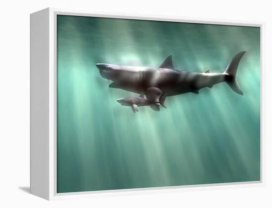 Megalodon Shark And Great White-Christian Darkin-Framed Premier Image Canvas