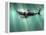 Megalodon Shark And Great White-Christian Darkin-Framed Premier Image Canvas