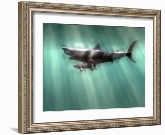 Megalodon Shark And Great White-Christian Darkin-Framed Photographic Print