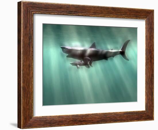 Megalodon Shark And Great White-Christian Darkin-Framed Photographic Print