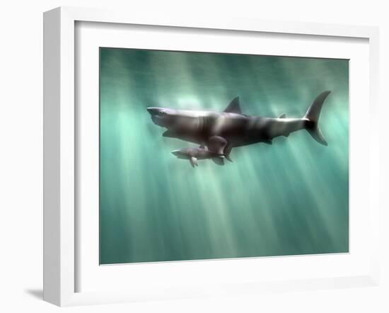 Megalodon Shark And Great White-Christian Darkin-Framed Photographic Print