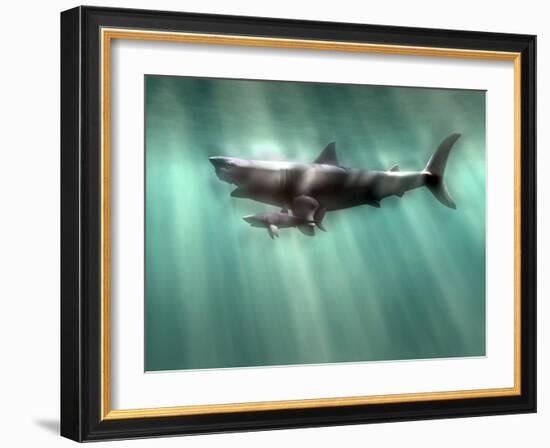 Megalodon Shark And Great White-Christian Darkin-Framed Photographic Print