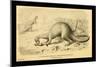 Megalosaurus Bucklandi-Joseph Smit-Mounted Art Print