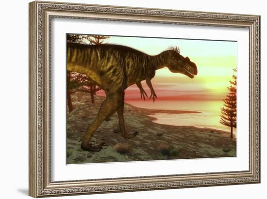 Megalosaurus Dinosaur Walking Toward the Ocean at Sunset-Stocktrek Images-Framed Art Print