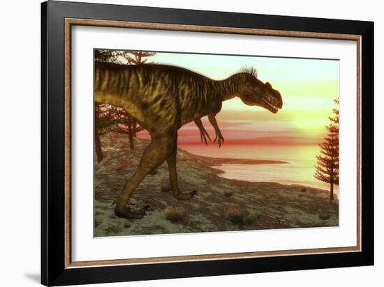 Megalosaurus Dinosaur Walking Toward the Ocean at Sunset-Stocktrek Images-Framed Art Print