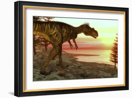 Megalosaurus Dinosaur Walking Toward the Ocean at Sunset-Stocktrek Images-Framed Art Print