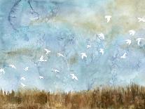 Birds in Flight II-Megan Meagher-Art Print