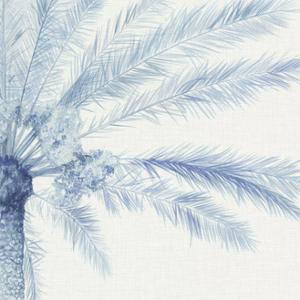Chambray Palms II by Megan Meagher