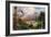 Meganeura in Upper Carboniferous Landscape-Science Source-Framed Giclee Print