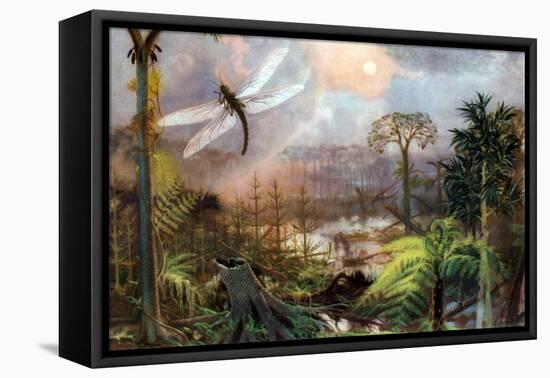 Meganeura in Upper Carboniferous Landscape-Science Source-Framed Premier Image Canvas